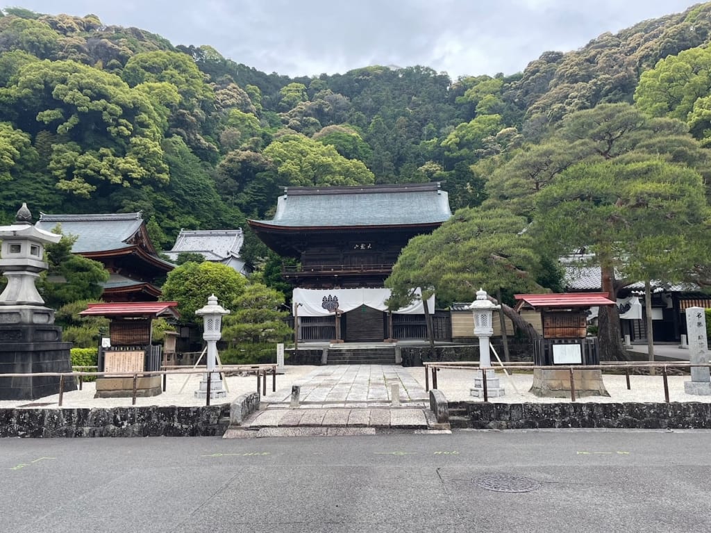 臨済寺では一般公開が行われます