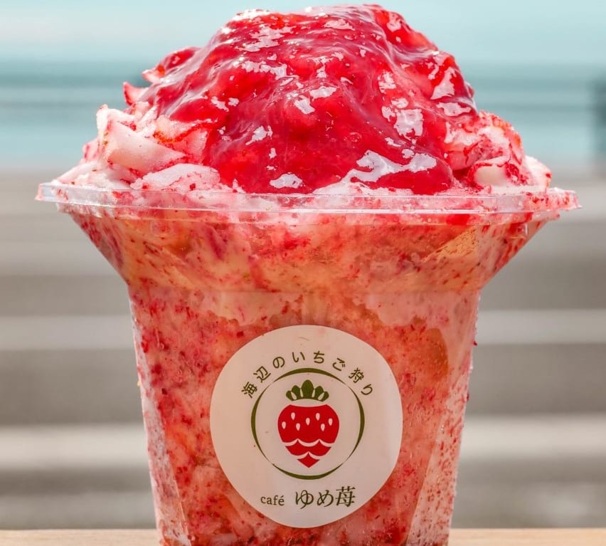 8月11日から静岡かき氷まつりが始まります